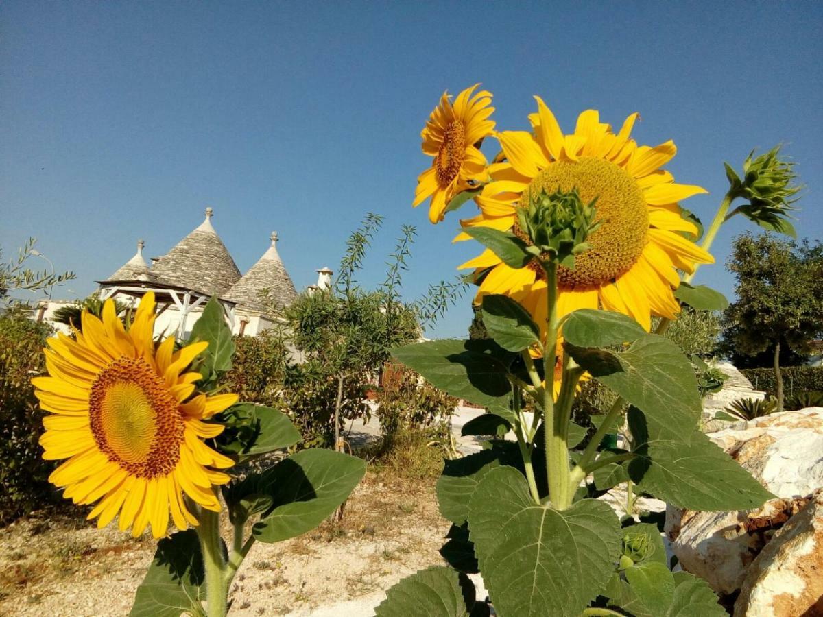 Trulli La Collinetta Villa Martina Franca Exterior foto